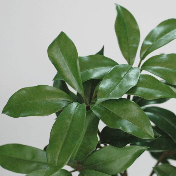 [再入荷 即日出荷]全長約57cm 組束しきび...の紹介画像2