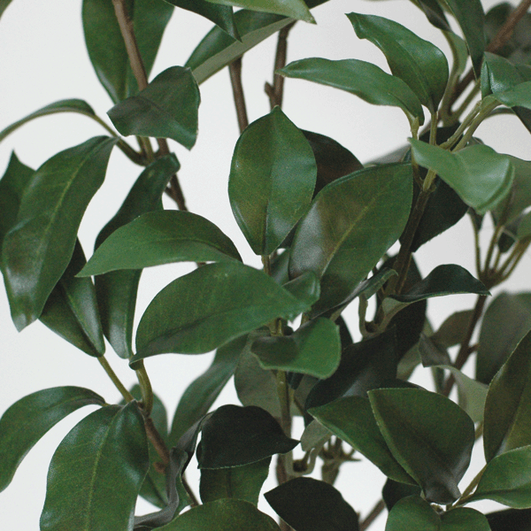 [再入荷 即日出荷]全長約57cm 組束しきび...の紹介画像3