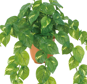 ��Ĺ��60cm�꡼�ա���6��9cm�����������ץ롼�ա��ݥȥ��֥å���LEB-8210 ���󤻾���