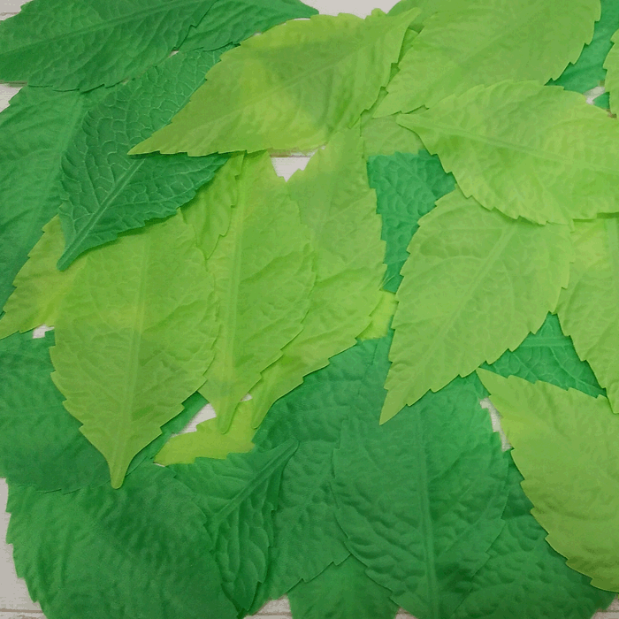 �����ʡڲƥ꡼�� ¤�֡ۿ��Х��顼 ���ե꡼�� 50����(��14����7cm)tm0001