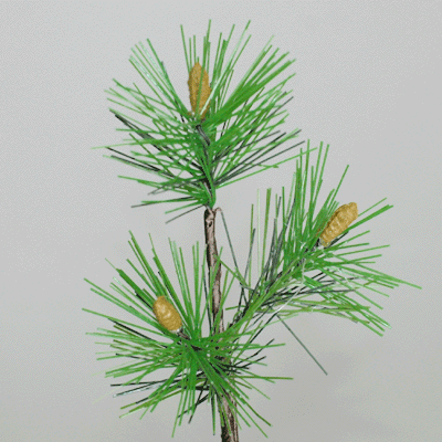 松の枝【正月用 花材 松】全長約17cm 松の枝3個付(葉長約2.5cm)P-1382-3
