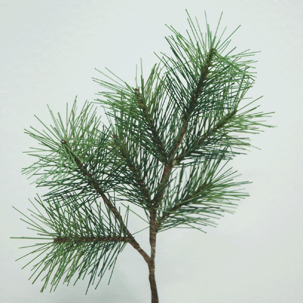 【正月花材】ミニ松 全長約28cm 7輪付パインピック アスカ A-74567 2