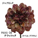 ジニアピック(34-テラコッタ)花径約10cm P-8254-34パレ