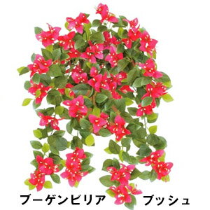 Rakuten - ブーゲンビリアブッシュ【夏 トロピカルフラワー】全長54cm FLB-8120 BTY
