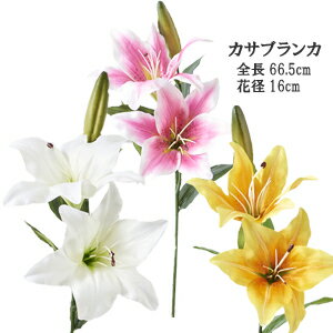 カサブランカ プリンセスカサブランカ2輪付 花径約16cm 全長約67cm F4053 azuma