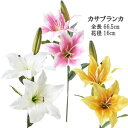 カサブランカ プリンセスカサブランカ2輪付 花径約16cm 全長約67cm F4053 azuma