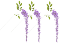 【造花 藤の花】1本515円 大房藤スプレイ L*ラベンダー FLS-5294-L(全長約110cm*花房60cm)
