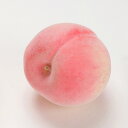 即日 出荷・おすすめ【食品サンプル】リアルタッチピーチ(桃) 高さ約7.5cm 径約8cm 3975-0134