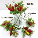 ミニペッパーピック(1本売) 全長約15cm インテリア雑貨 H0406