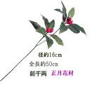 全長50cm 新千両 2輪付【正月花材】22196