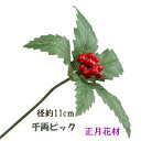 千両ピック【正月花材】1本売 全長17cm 葉径約11cm V22213