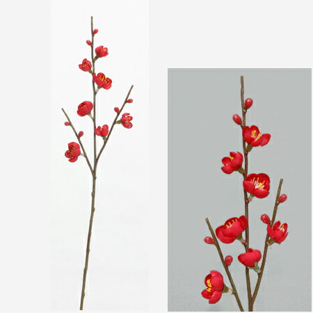 梅【正月花材】全長38cm 梅小枝(花径約1.5〜2.5cm)FD5374 P-1690