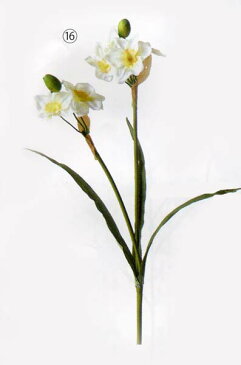 【お正月用 花材】全長約62cm 水仙(6輪付) (花径約6cm*花6輪と蕾3輪付)3728*