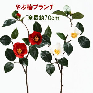 3輪付やぶ椿【正月花材】全長約70cm やぶ椿ブランチ GA0176 -V22174