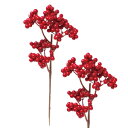 ベリーピック(レッド) 1本売 全長20cm VEG-5514