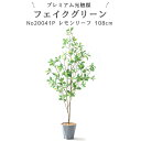 No20041P プレミアム光触媒フェイクグリーン 「やわらかなグラデーション葉 × 線の美しい枝ぶり 空間に上質なナチュラルモダンを レモンリーフ 高さ108cm 幅68cm 奥行53cm」(Formaポット付)【ギフト不可】フェイク 室内 部屋 風水 消臭 リビング 玄関 葉 葉っぱ 室内用