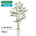 新商品 フェイクグリーン 人工観葉植物 光触媒グリーン 造花 観葉植物 フェイク オフィス おしゃれ インテリア 大型 室内 空気清浄 消臭 酸化チタン シマトネリコ お洒落 寝室 ギフト プレゼント 高さ155cm 幅70cm 奥行70cm  No84241