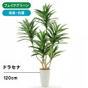 フェイクグリーン 人工観葉植物 光触媒グリーン 造花 観葉植物 フェイク オフィス おしゃれ インテリア 大型 室内 鉢 空気清浄 消臭 酸化チタン お洒落 寝室 ギフト プレゼント ドラセナ コルジリネ 6枝 高さ120cm 幅70cm 奥行60cm 【日時指定 ギフト不可】 No84251