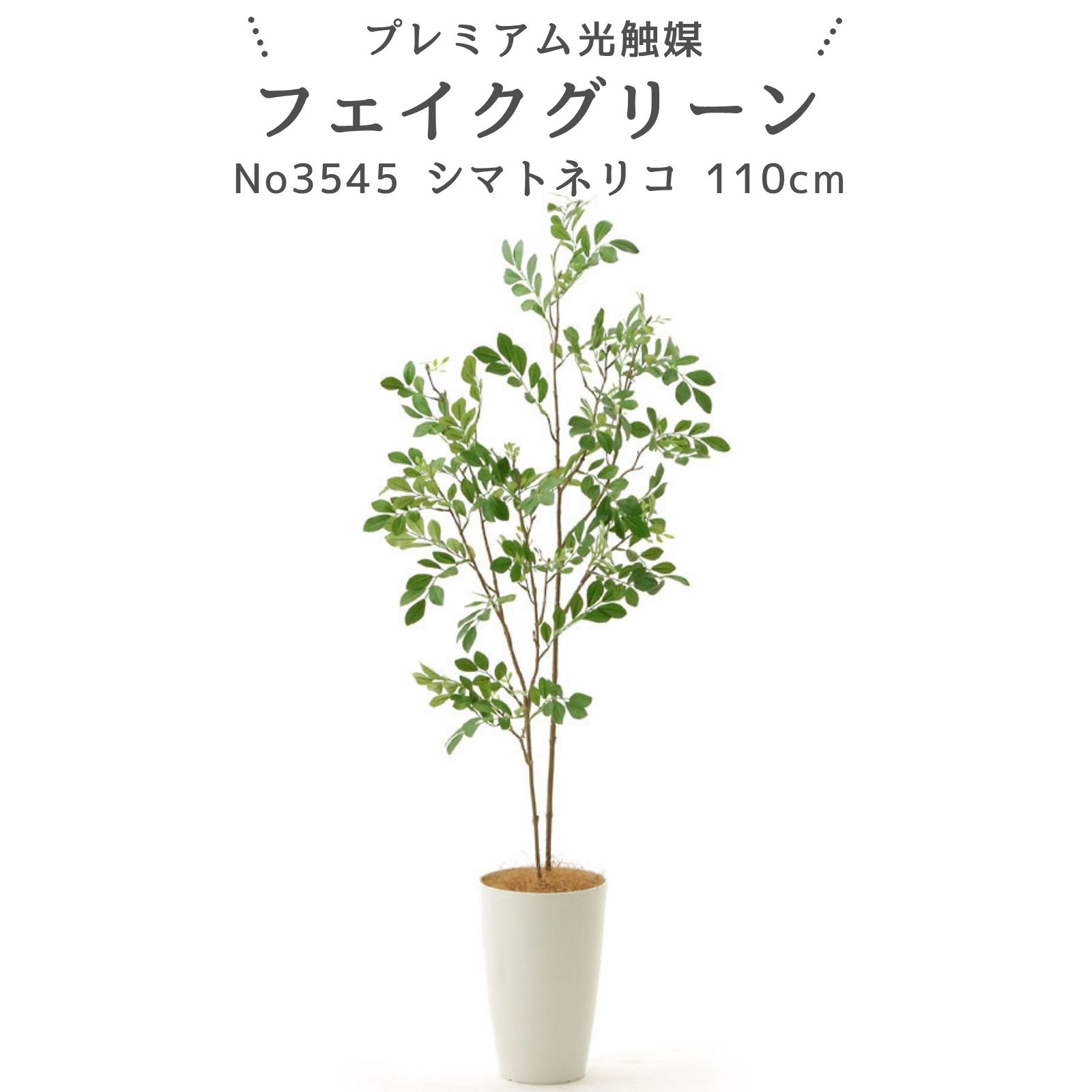 フェイクグリーン シマトネリコ 110cm 光触媒 観葉植物 造花 リアル 室内 リビング 玄関 インテリア おしゃれ 人工観葉植物 消臭 抗菌 プレミアム光触媒フェイクグリーン No3545 【そのまま飾れる 完成形デザイン】 ｜白丸ポット付｜ヤシの繊維付