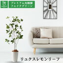 No3570 プレミアム光触媒フェイクグリーン 【そのまま飾れる 完成形デザイン】 「洗練された佇まい × 透明感ある葉の重なり|リュクスレモンリーフ|高さ11...