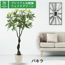 No8009 プレミアム光触媒フェイクグリーン 「スパイラル パキラ 3本立 高さ160cm 幅90cm 奥行90cm(ラスターポット265付)」 【組立式】【...
