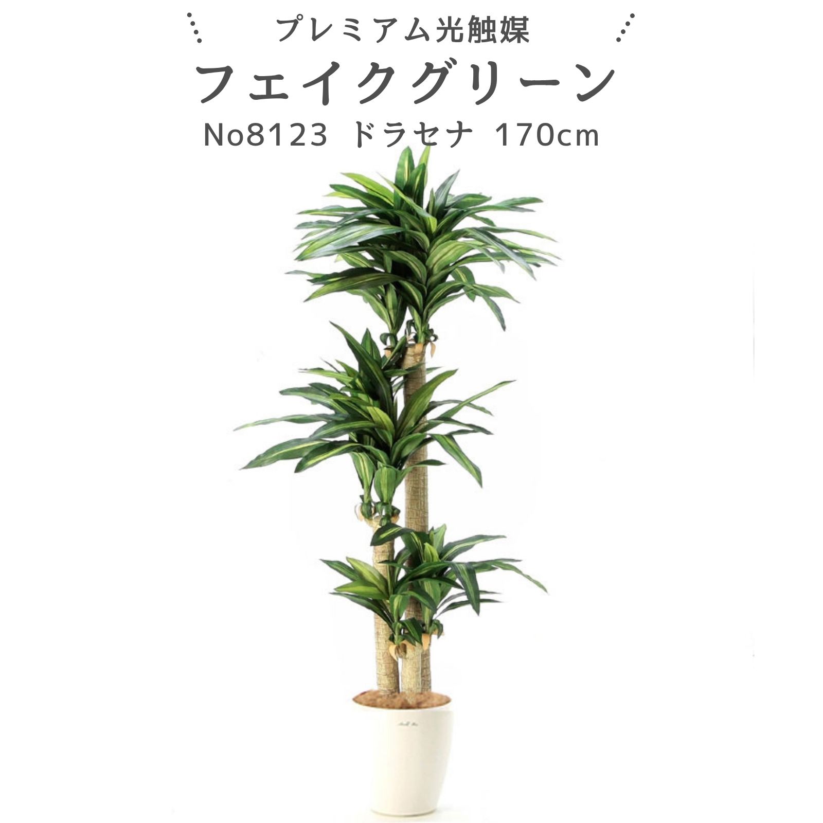 フェイクグリーン ドラセナ マッサンゲアナ 170cm 光触媒 観葉植物 造花 リアル 室内 リビング 玄関 インテリア おしゃれ 人工観葉植物 消臭 抗菌 プレミアム光触媒フェイクグリーン No8123 ｜ラスターポット265付｜ヤシの繊維付