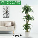 No8123 プレミアム光触媒フェイクグリーン 「ドラセナ・マッサンゲアナ 3本立 高さ170cm 幅80cm 奥行80cm(ラスターポット265とヤシの繊維付)」 【ギフト不可】【鉢カバーは取り外し可】光触媒 造花 人工 観葉植物 フェイク 室内 消臭