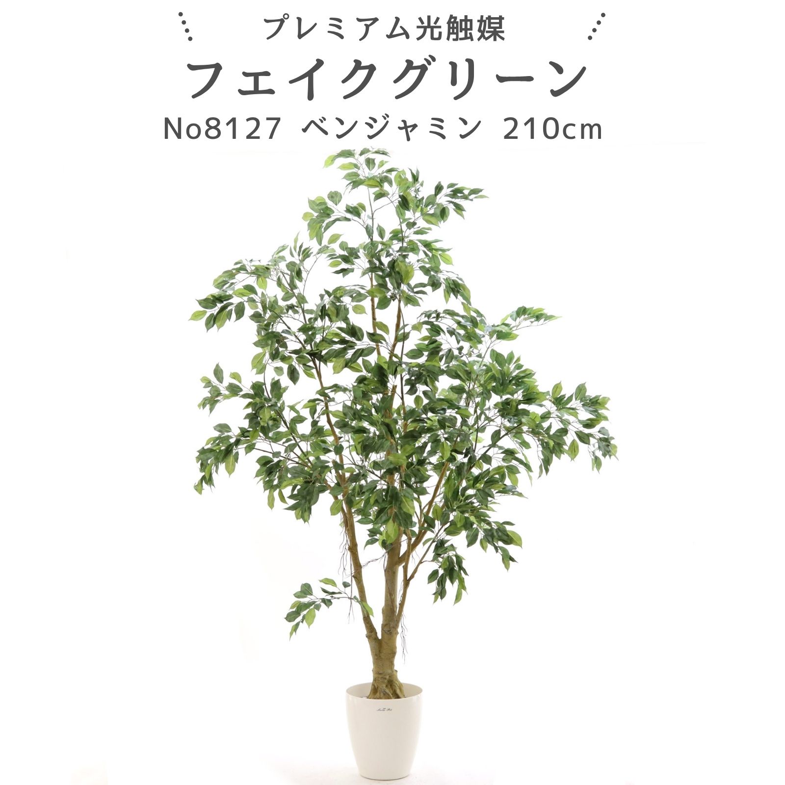 フェイクグリーン ベンジャミン 210cm 光触媒 観葉植物 造花 リアル 室内 リビング 玄関 インテリア おしゃれ 人工観葉植物 消臭 抗菌 プレミアム光触媒フェイクグリーン No8127 ワイルドベンジャミン ｜ラスターポット265付｜ヤシの繊維付