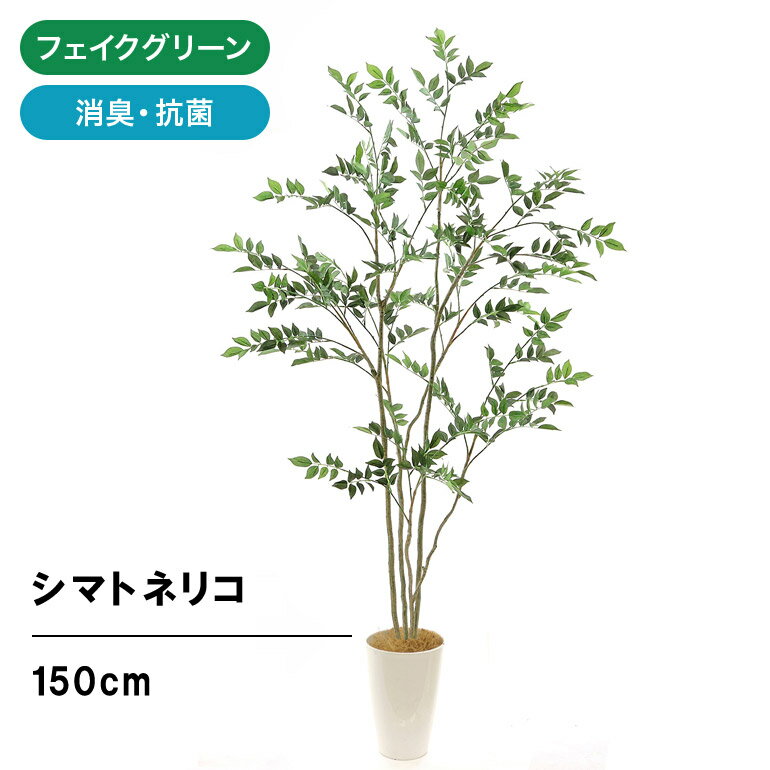 No8424 プレミアム光触媒フェイクグリーン「シマトネリコ 高さ155cm 幅70cm 奥行70cm（白丸ポットとヤシの繊維付）」【日付指定・ギフト不可】【鉢は取り外し可】光触媒 フェイクグリーン 造花 人工 観葉植物 フェイク 室内 消臭 リビング オフィス