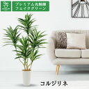 No8425 プレミアム光触媒フェイクグリーン 「ドラセナ・コルジリネ 6枝 高さ120cm 幅70cm 奥行60cm(白丸ポットとヤシの繊維付)」 【ギフト不...