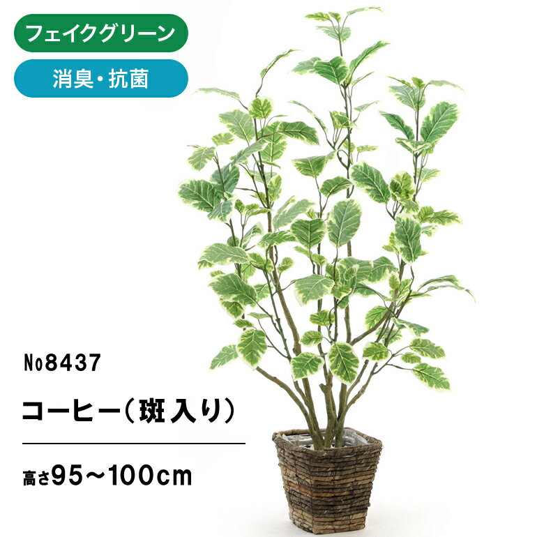 光触媒 フェイクグリーン コーヒー 造花 人工観葉植物 観葉植物 フェイク ポトス 100cm 室内 部屋 風水 消臭 人工 小さめ リビング 玄関 空気清浄 葉 葉っぱ 室内用 初心者 インテリア 空気 植物 おしゃれ グリーン お洒落 寝室 ギフト プレゼント 鉢 植木鉢 No8437limited