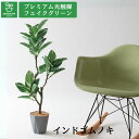 No8466 プレミアム光触媒フェイクグリーン 「美しい斑入り葉 × スタイリッシュなFormaポット仕様|インドゴムノキ(フィカス・エラスティカ)|高さ88c...