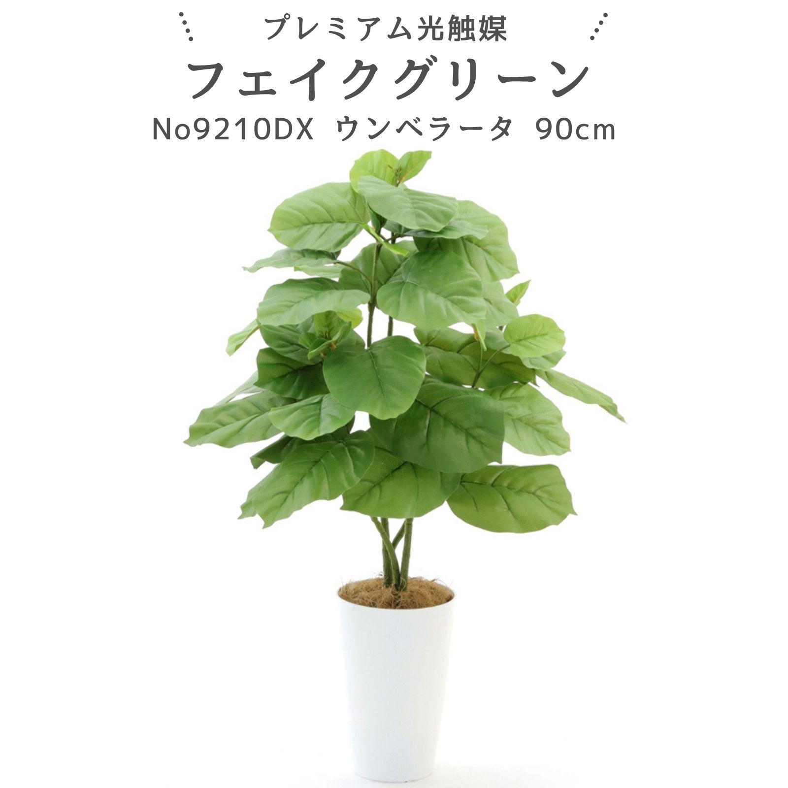 No9210DX プレミアム光触媒フェイクグリーン 「フィカス・ウンベラータ 2本立 高さ90cm 幅60cm 奥行60cm（白丸ポットとヤシの繊維付）完成品」【ギフト不可】【鉢は取り外し不可】造花 人工 観葉植物 フェイク 室内 風水 消臭 リビング ダイニング 部屋