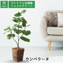 No9210N1 プレミアム光触媒フェイクグリーン 【そのまま飾れる 完成形デザイン】 「やさしい色味 × ふんわりとしたフォルム|空間を軽やかに彩る|ウンベラ...