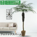 No9275 プレミアム光触媒フェイクグリーン 「フェニックスパーム・ヤシ 高さ220cm 幅170cm 奥行170cm(バナナリーフ製バスケット 5SREとヤ...