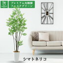 No9328 プレミアム光触媒フェイクグリーン 「シマトネリコ 高さ160cm 幅60cm 奥行60cm(スマートポットとヤシの繊維付)」 【ギフト不可】【鉢カ...