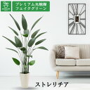 No9356 プレミアム光触媒フェイクグリーン「ストレリチア・レギネ 高さ150cm 幅95cm 奥行95cm(スマートポット付)」 【組立式】【ギフト不可】【...