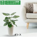 No93691 プレミアム光触媒フェイクグリーン 「ポトス 葉12枚 高さ60cm 幅50cm 奥行45cm(白丸ポットとヤシの繊維付)完成品」【ギフト不可】【...