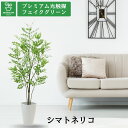 No9370 プレミアム光触媒フェイクグリーン「シマトトネリコ 高さ130cm 幅65cm 奥行55cm(スマートポット付)」 【ギフト不可】【鉢カバーは取り外...