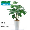 光触媒 フェイクグリーン 造花 人工観葉植物 観葉植物 フェイク ポトス 80cm 室内 部屋 風水 消臭 人工 小さめ リビング 玄関 空気清浄 葉 葉っぱ 室内用 初心者 インテリア 空気 小さい 植物 おしゃれ グリーン お洒落 寝室 ギフト プレゼント 洗面所 鉢 植木鉢 No93721