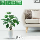 No93721 プレミアム光触媒フェイクグリーン 「ポトス 葉19枚 高さ80cm 幅60cm 奥行55cm(白丸ポットとヤシの繊維付)完成品」【ギフト不可】【...