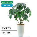 光触媒 フェイクグリーン 造花 人工観葉植物 観葉植物 フェイク モンステラ 75cm 室内 部屋 風水 消臭 人工 小さめ リビング 玄関 空気清浄 葉 葉っぱ 室内用 初心者 インテリア 空気 植物 小さい おしゃれ グリーン お洒落 寝室 ギフト プレゼント 鉢 植木鉢 No93731