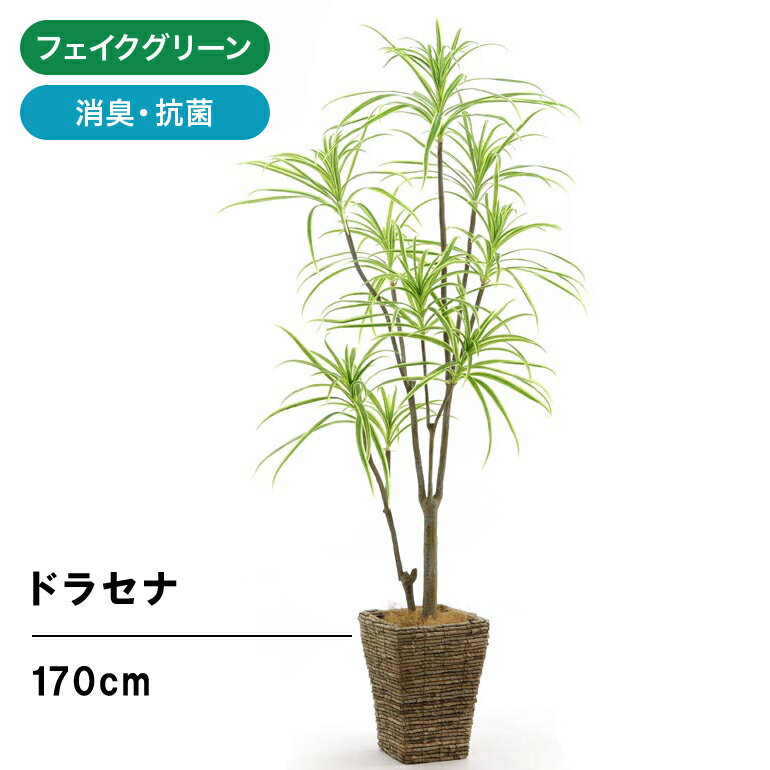 No9376 プレミアム光触媒フェイクグリーン 「ドラセナ・コンシンネ・ゴールドグリーン 8枝 高さ170cm 幅90cm 奥行75cm（バナナリーフ製バスケット5SREとヤシの繊維付」【日付指定・ギフト不可】【鉢カバー取り外し可】造花 人工 観葉植物 フェイク
