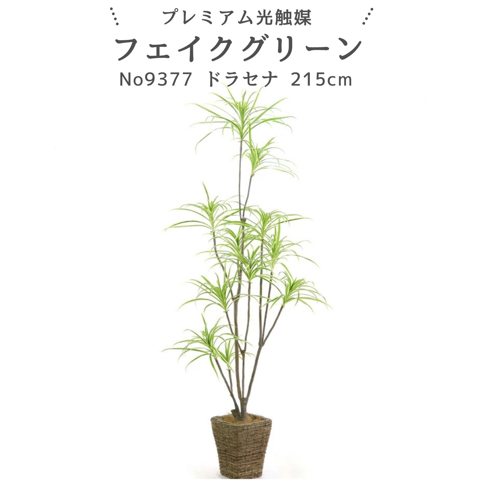 フェイクグリーン ドラセナ コンシンネ 215cm 光触媒 観葉植物 造花 リアル 室内 リビング 玄関 インテリア おしゃれ 人工観葉植物 大型 消臭 抗菌 プレミアム光触媒フェイクグリーン No9377 ｜バナナリーフバスケット5SRE付｜ヤシの繊維付