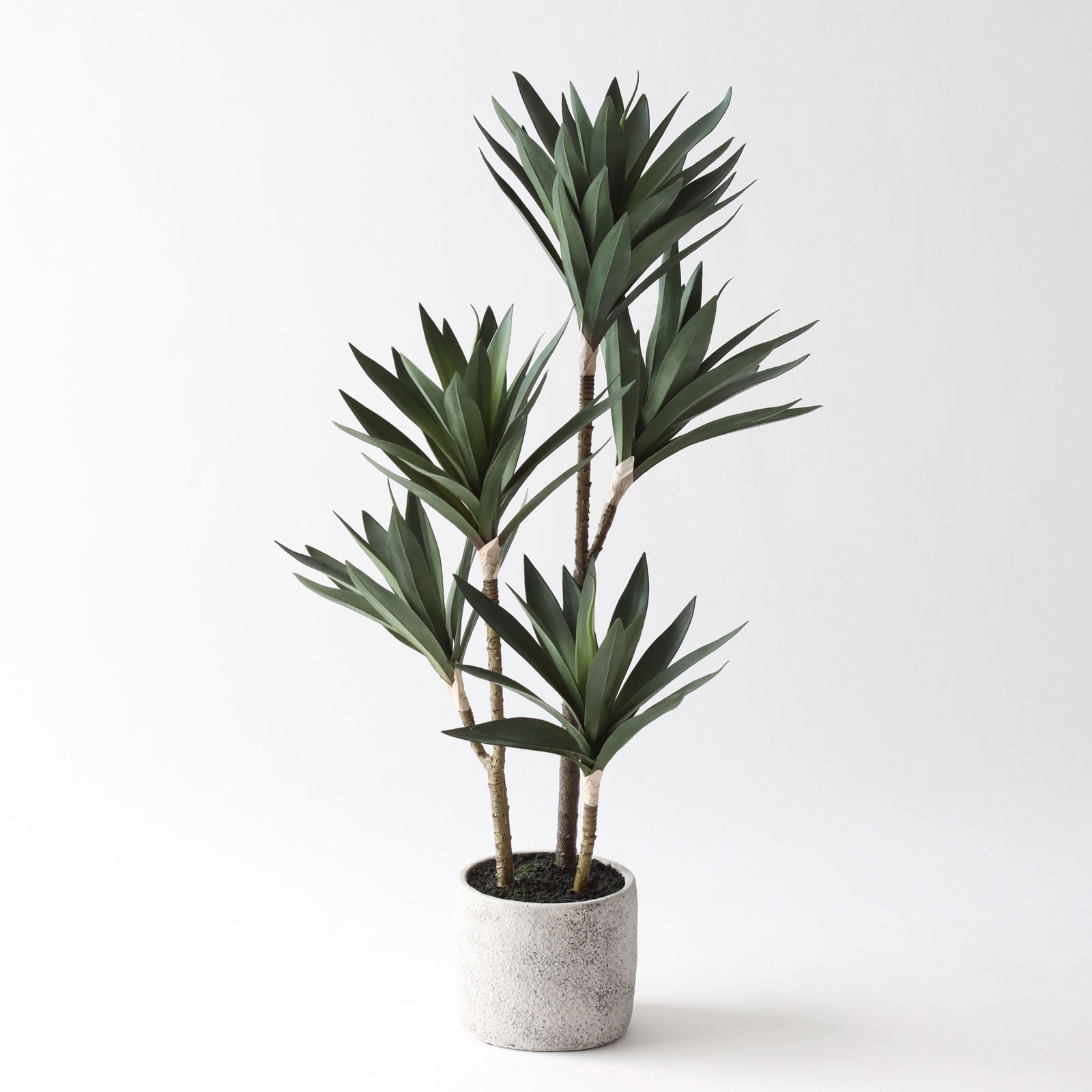 楽天市場】アガベ（サイズ（植木鉢）4 ～ 6号）（人工観葉植物｜造花
