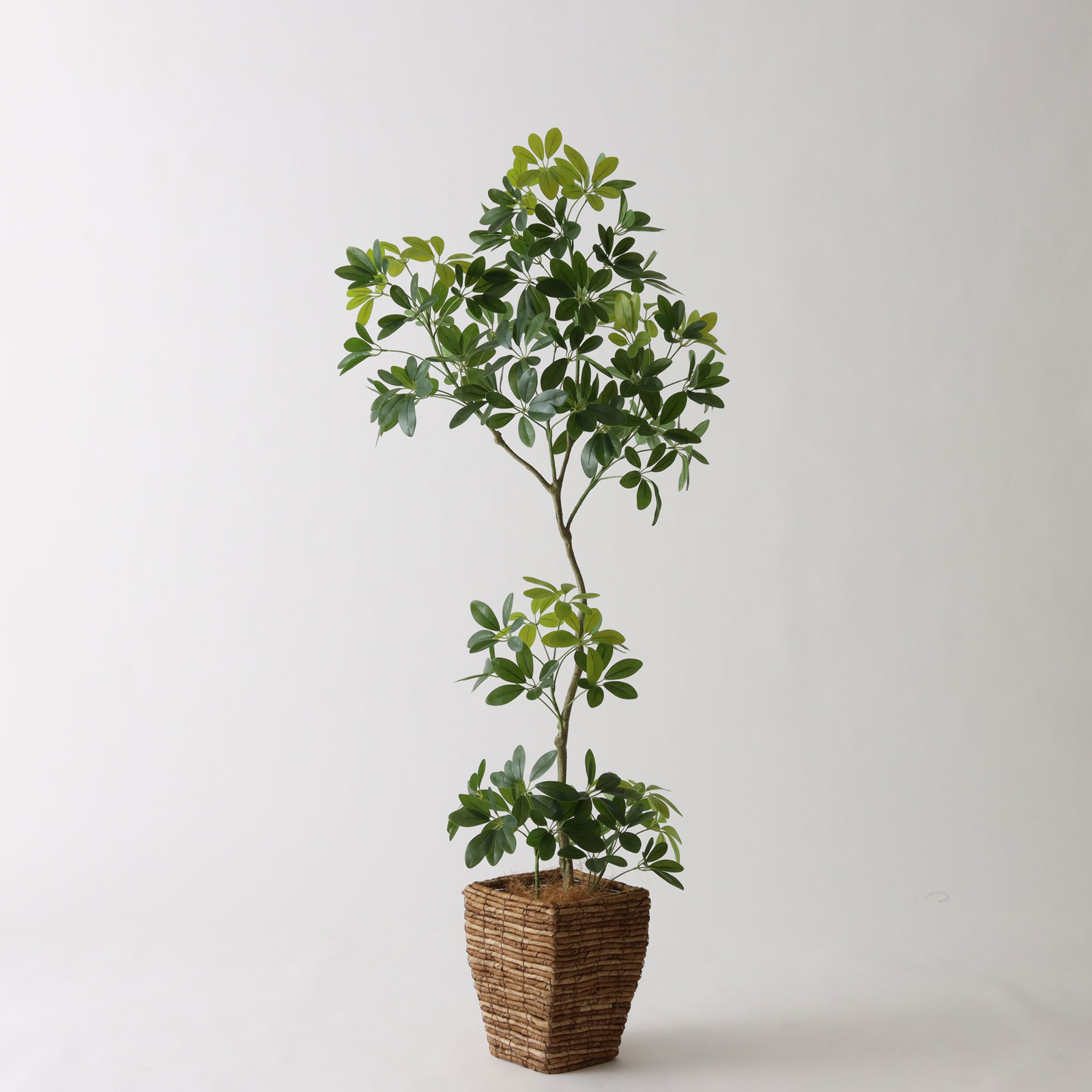フェイクグリーン 大型 カポック シェフレラ 150cm 光触媒 観葉植物 造花 リアル 人工観葉植物 室内 リビング 玄関 オフィス 消臭 抗菌 空気清浄 おしゃれ 鉢カバー付 プレミアム光触媒フェイクグリーン No9397KG4SRE｜バナナリーフバスケット（KG4-SRE）付｜ヤシの繊維付