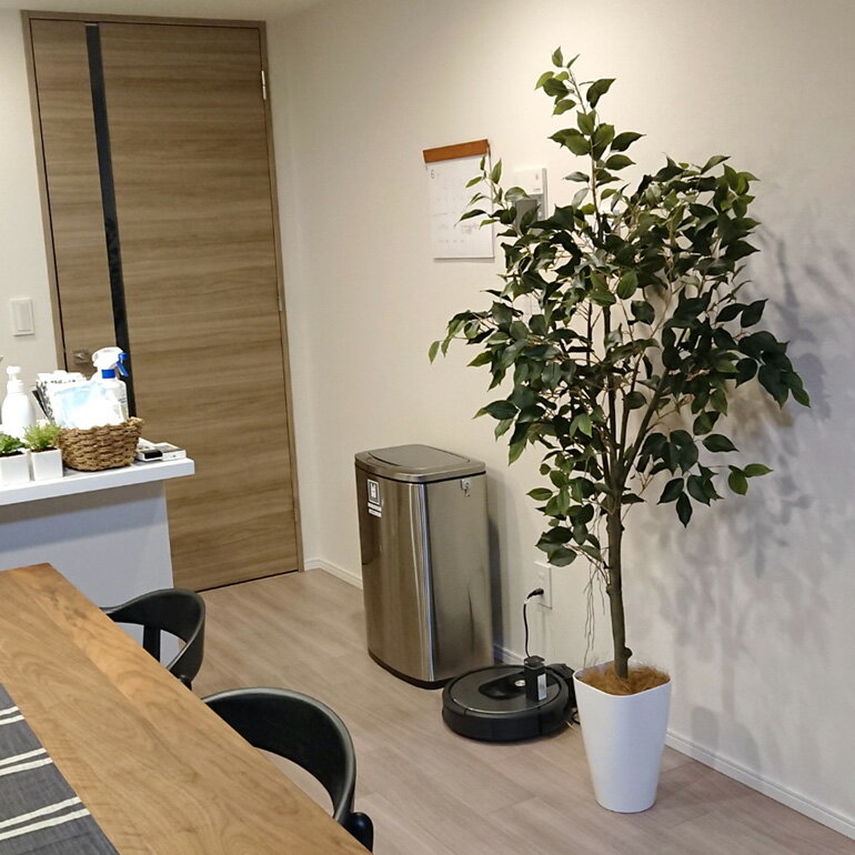 プレミアム光触媒人工観葉樹(フェイクグリーン)92761「【本物そっくりの佇まい】リアルフィカスベンジャミン高さ150~160cm(スマートPPポットCHIC8+ヤシの繊維)」