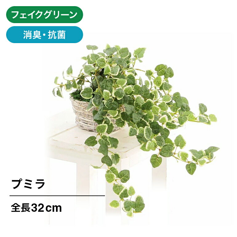 フェイクグリーン 造花 人工観葉植物 プミラ 32cm 室内 部屋 風水 消臭 観葉植物 白樺 フェイク 人工 小型 小さめ リビング 玄関 人気 空気清浄 葉 葉っぱ リアル 室内用 初心者 インテリア 空気 植物 葉っぱ 小さい おしゃれ グリーン 鉢 植木鉢 光触媒 かわいい No33263