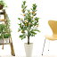 プレミアム 光触媒 フェイクグリーン 人工 観葉植物 造花 グリーン 120cm シンプル オフィス おしゃれ 在宅 インテリア 室内 鉢 空気清浄 消臭 抗菌 銀 酸化チタン「みかんの木 高さ120cm スマートポット CHIC8」【日付指定・ギフト不可】 No93321