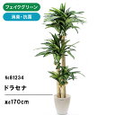 フェイクグリーン 観葉植物 フェイク 人工観葉植物 大型 光触媒 造花 インテリア リアル おしゃれ お祝い ドラセナ 植物 木 170cm シンプル オフィス 室内 鉢 空気清浄 消臭 抗菌 銀 3本立 高さ170〜180cm（ラスターポット 265 ヤシの繊維） No81234